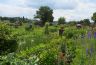 Godalming's fun and friendly annual gardening competition